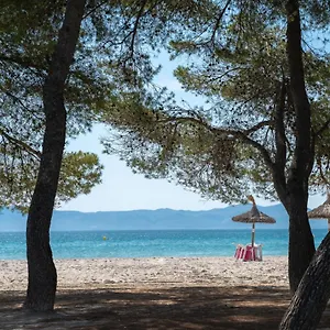 Ferrer Lime Playa De Alcudia , Port de Alcudia (Mallorca) Spanien